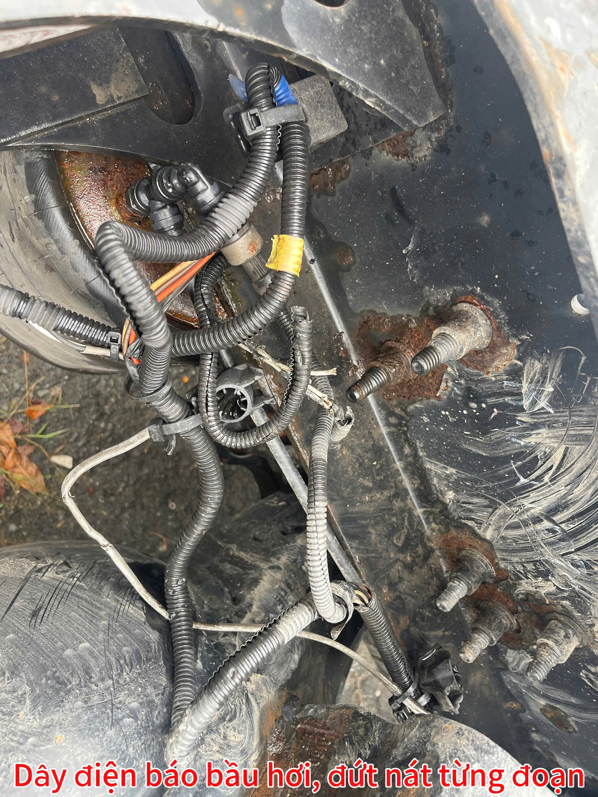 Vạn Phát Thịnh Auto